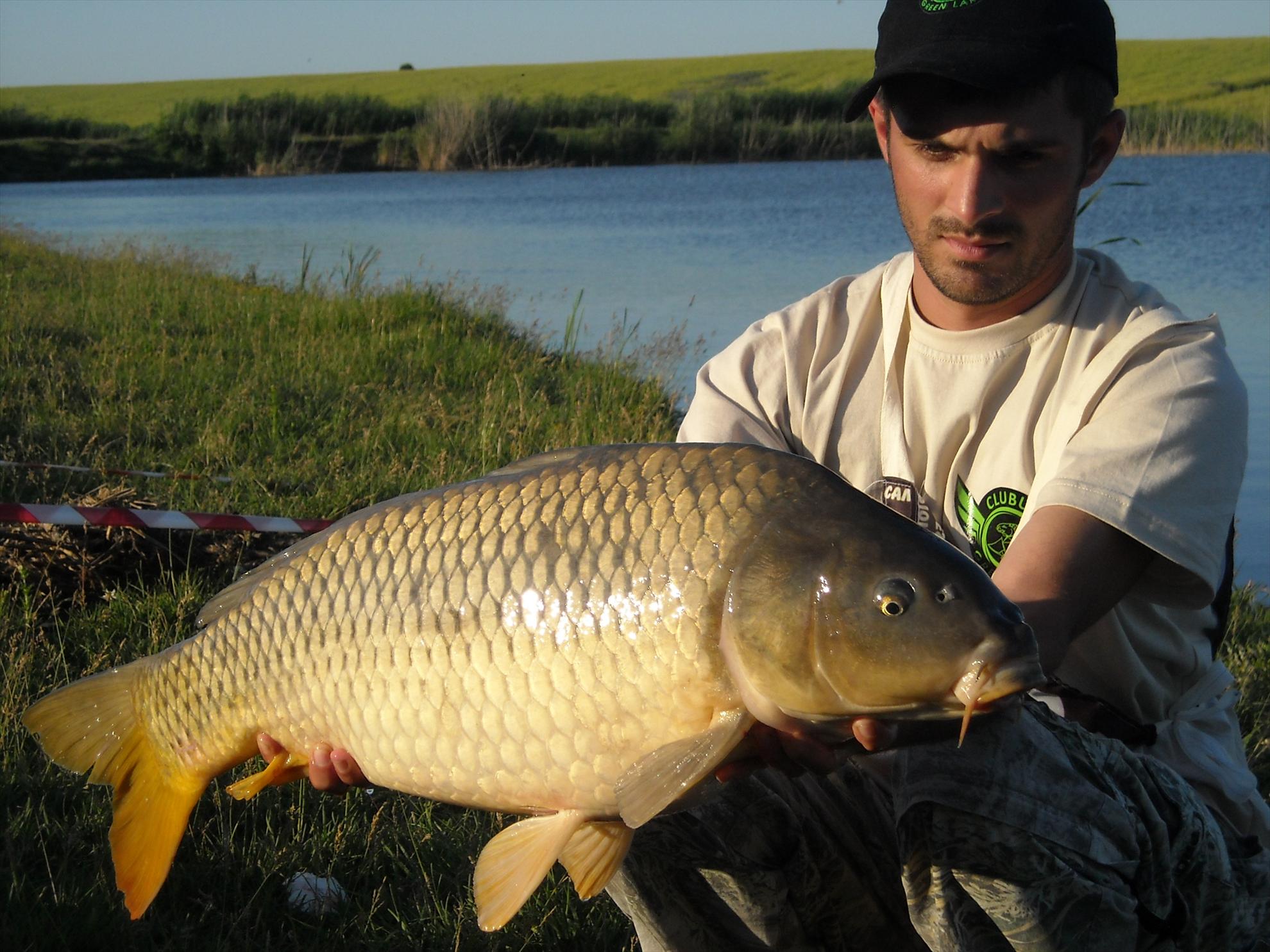 CN-2010-Chiroiu - dscn45111.jpg